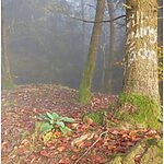 Bilder Podcast 1